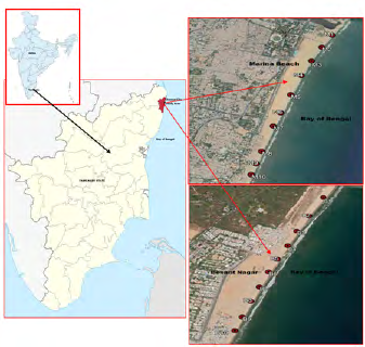 Figure 1: Study area map (Marina and Besant Nagar Beach, Chennai city, Tamilnadu State).
