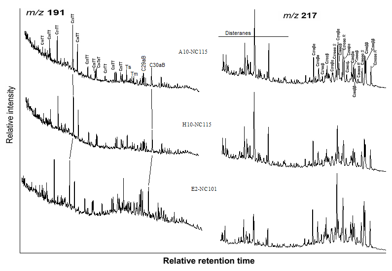 Figure 7: Biomarkers distribution (m/z 191 and 217) of selected oil samples. Oil-Source Rocks Correlations: The correlations between the studied oils and potential source rocks has been showed in the preceding sections using a visual assessment of chromatograms together with a comparison of quantified data and ratios calculated triterpanes and hopanes peaks and illustrated in Figure 8. Data indicated that most of the core extracts were broadly similar to most of the oils with some increases in oils data, possible due to development oil maturity and/or a status of mixing in reservoir. The carbon stable isotope results are again confirming this notion.