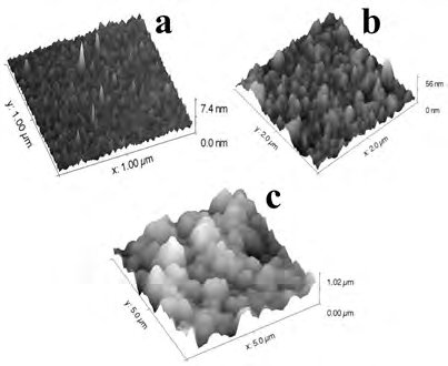 Figure 2: AFM images of; (a) metal deposited Si/SiO2 substrate. (b) CNT deposited surface on Ni Catalyst. (c) CNT deposited surface on Co substrate.