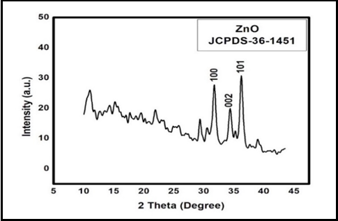 Figure 3: DLS analysis of: A) Synthesized ZnO NPs; B) ZnO NPs after laser effect without human observation; C) ZnO NPs after laser effect in human observation.