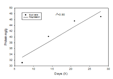 Figure 1: Representing the regression between days of exposure and muscle protein of control (non-treated) fish.