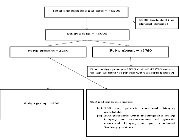 Figure 1: Study design (numerical data refers to number of patients).