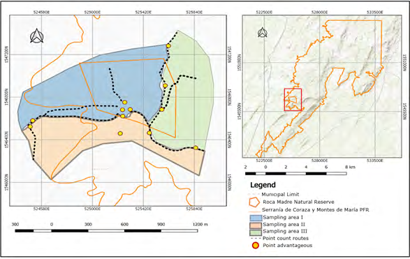 Figure 1: Geographic location of sampling areas within and around the RNSC Roca Madre.