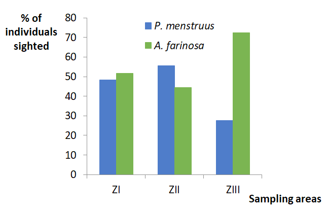 Figure 3: Proportion of individuals of P. menstruus and A. farinosa, sighted in the three study areas.