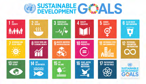 Figure 2: Sustainable development goals.