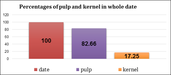 Figure 1: Percentages of pulp and kernel in the entire date.