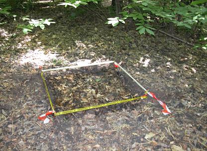 Figure 2: plot 1 m2