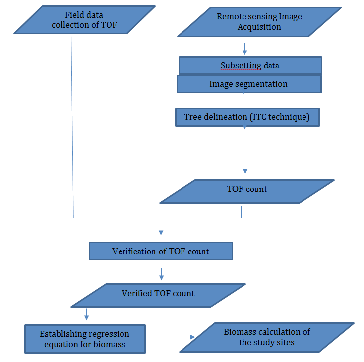 Figure 2: Flow chart of biomass calculation method.
