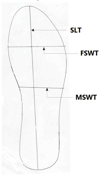 Figure 3: Measurement of right shoe trace dimension. SLT: Shoe length trace. FSWT: Fore shoe width trace. MSWT: Mid shoe width trace.