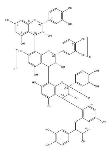 Figure 2: Cranberry proanthocyanidins showing the presence of A-type linkages.