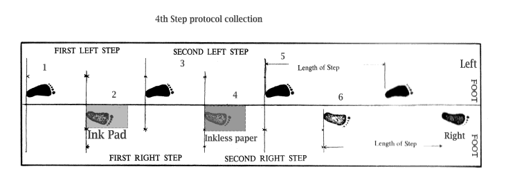 Figure 1: Placement of the Inkpad and the Inkless paper using the 4th Step protocol for obtaining bare footprint collection.