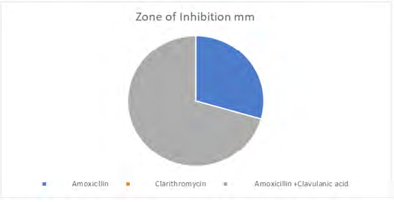 Figure 3: Percentage of resistant to antibiotics of triple therapy by H. pylori.
