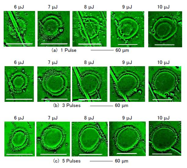 Figure 2: Ablation craters on TiO2 coating formed by (a) one, (b) three, and (c) five pulses with 6–9-µJ laser outputs. The single pulse shapes deviated from a true circle (a). Although line-shaped deposition irregularities are recognizable, double ridge formation can be identified. The double ridges are more distinct for low-pulse irradiations. The line-shaped irregularities that cross the ablation craters are removed by more than three pulses (c).