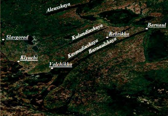 Figure 1: The scheme of the Ribbon forest (klad-altaya.ru).