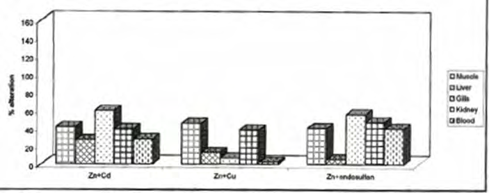 Figure 1: Zinc content in different tissues of Channa Punctatus exposed to Zn+Cd, Zn+Cu, Zn+endosulfan.