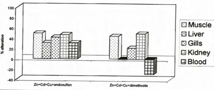 Figure 2: Zinc content in different tissues of Channa Punctatus exposed to Zn+Cd+Cu+ endosulfan & Zn+Cd+Cu+dimethoate 96hr individually and in group.