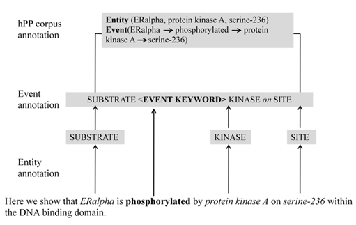 Figure 1: Two stage corpus annotation.