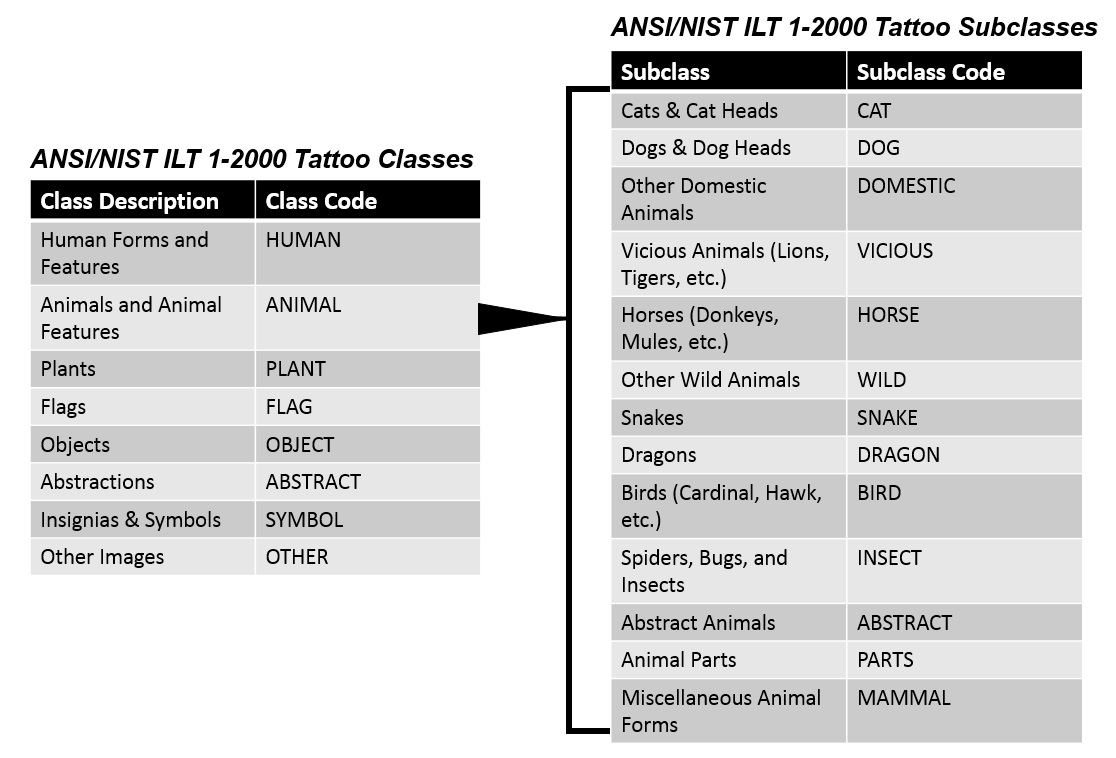 Figure 4: ANSI/NIST tattoo classes and subclasses.