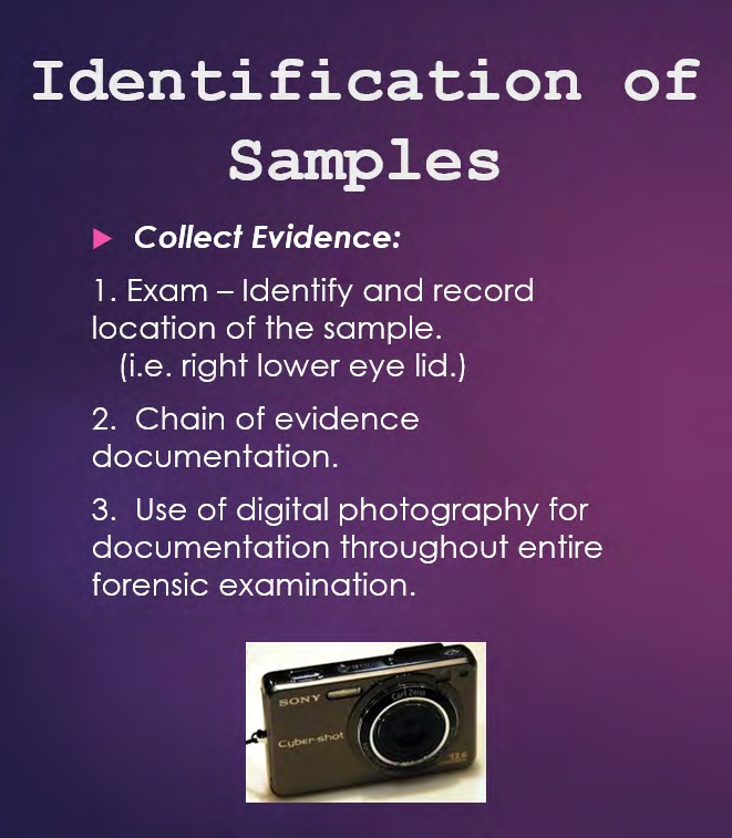 Figure 6: Identification steps of a micropigmentation sample.