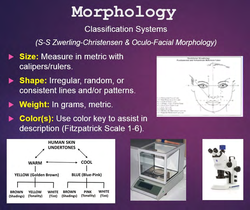 Figure 7: Classification of micropigmentation using morphology tools.