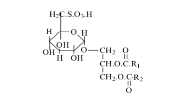 Figure 13: Triglyceride structure.