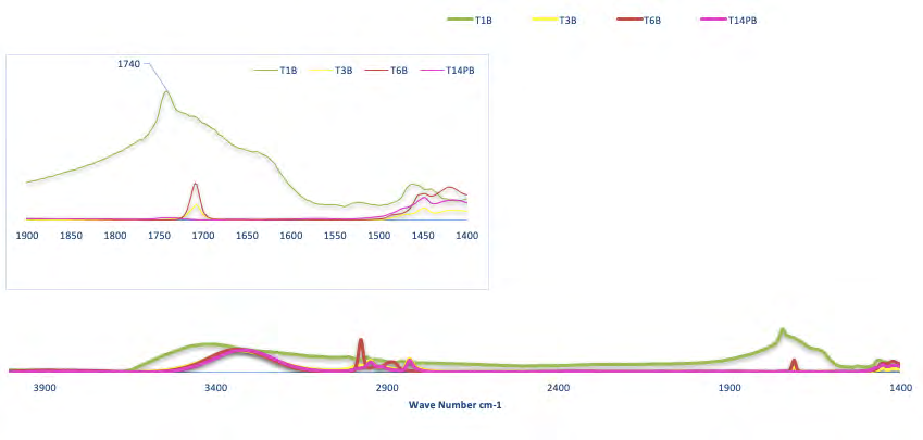 Figure 22: Thalassiosira sp. after chemical extraction on the left and after supercritical Co2 on the right.