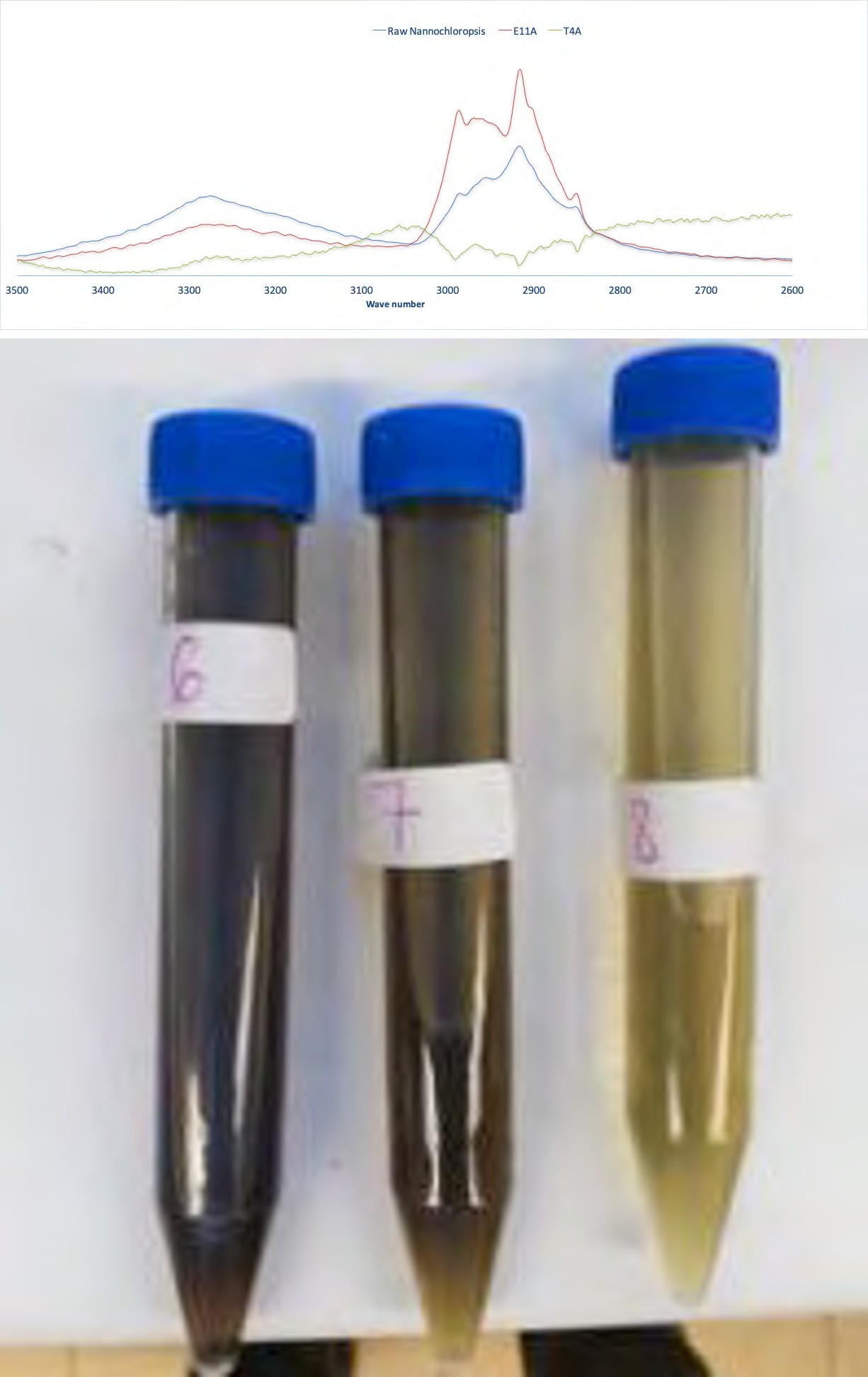Figure 24: FTIR of insitu-transesterification of Thalassiosira spp. using acidic and basic catalyst.