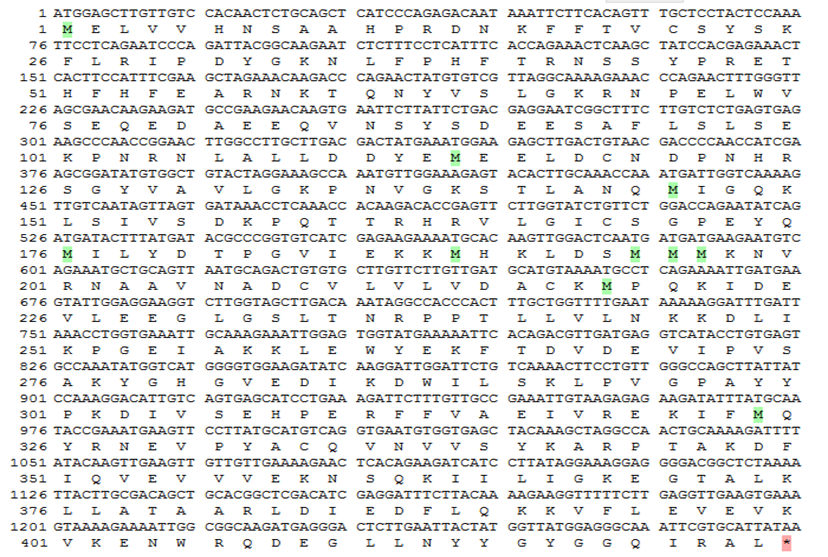 Figure 1: The nucleotide sequence and deduced amino acid sequence of GTPase Era. The nucleotides in the boxes are the start codon (ATG) and the stop codon (TAA).