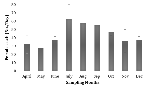 Figure 7: The relationship of water salinity and female mud crab (average catch in number) during the sampling period from Koyra, Khulna and Symnagor, Satkhira.