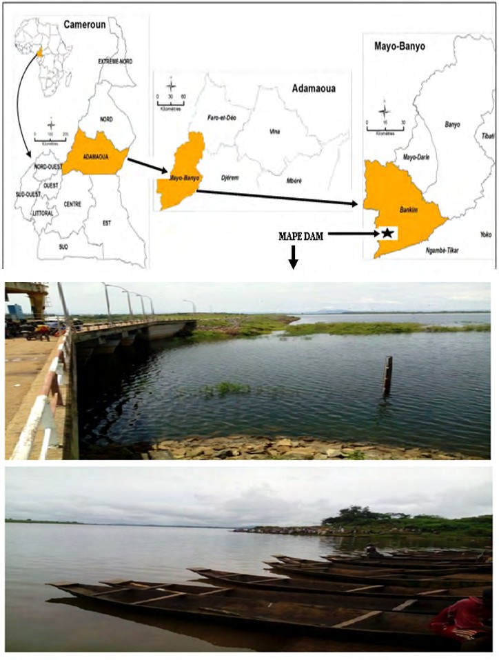 Figure 1: Cameroon map showing the study area.