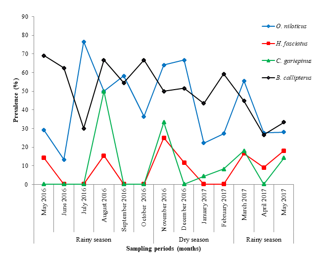 Figure 10: Prevalence in relation to class size in O. niloticus (A), H. fasciatus (B), C. gariepinus (C) and B. callipterus (D).
