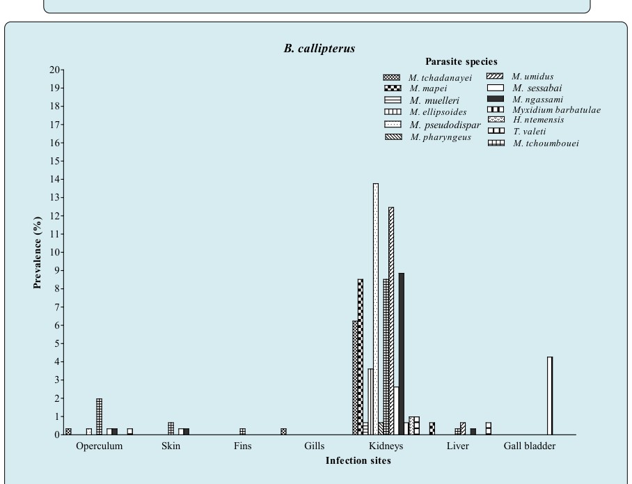 Figure 7: Prevalence in relation to infection sites and hosts.