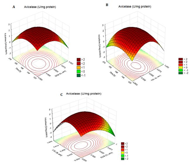 Figure 1: Three-dimensional response surface plot for: Effect of incubation time and SCB concentration on avicelase production by Bacillus sp SMIA-2 at a constant CSL concentration (A); Effect of incubation time and CSL concentration on avicelase production by Bacillus sp SMIA-2 at a constant SCB concentration (B); Effect of SCB and CSL concentration on avicelase production by Bacillus sp SMIA-2 at a constant incubation time (C). Dark red color indicates high activity, while green and yellow color indicates low avicelase activity.