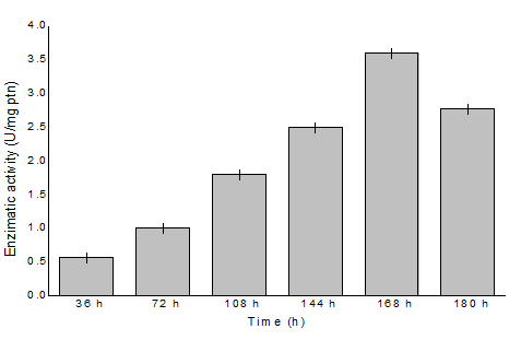 Figure 3: Effect of incubation time on avicelase production by Bacillus sp SMIA-2 grown in submerged culture containing 0.625% (w/v) SCB and 0.625% (v/v) CSL and supplemented with 0.5% (w/v) PRFR at 50ºC.