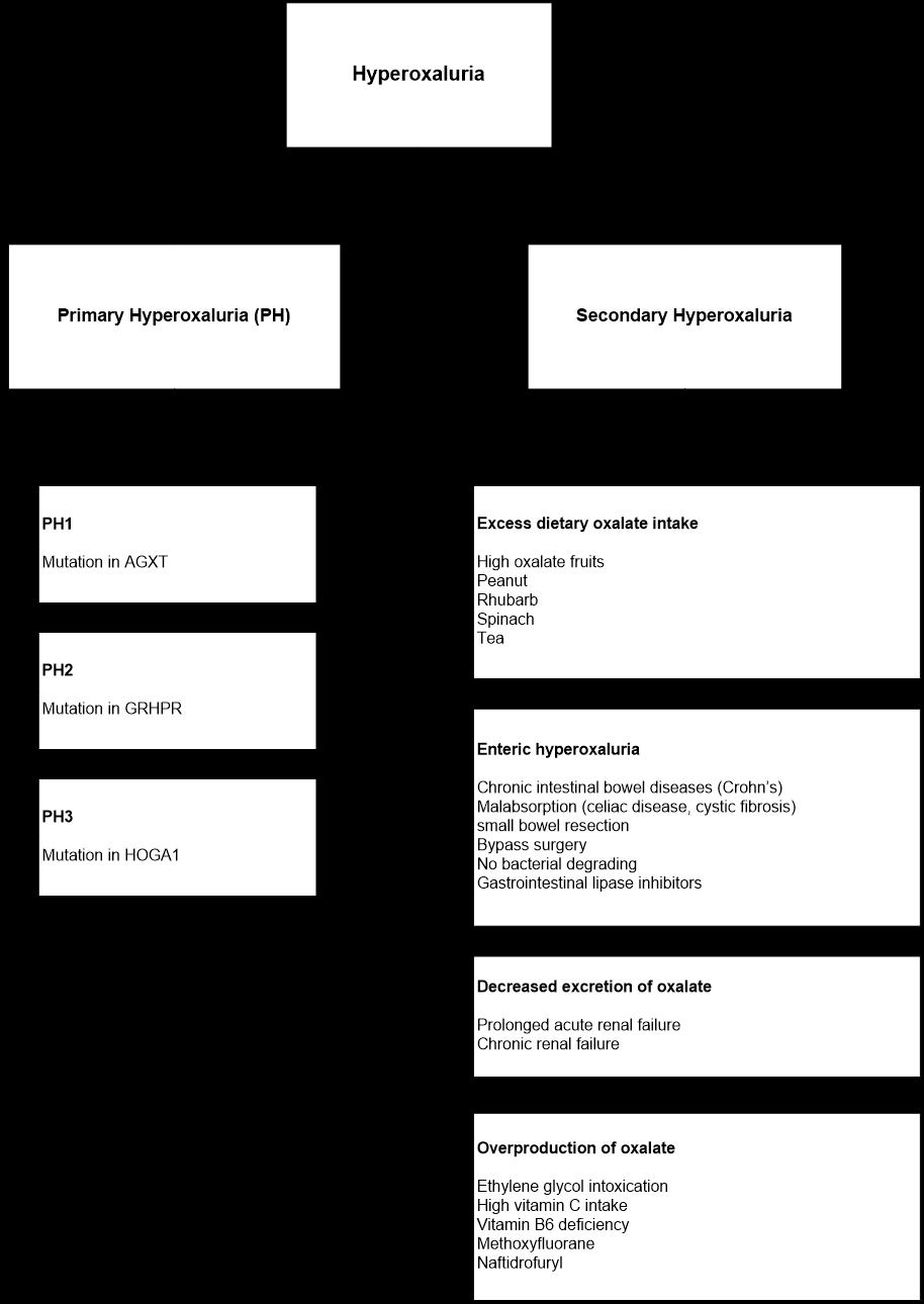 Figure 2: Causes of oxalosis.