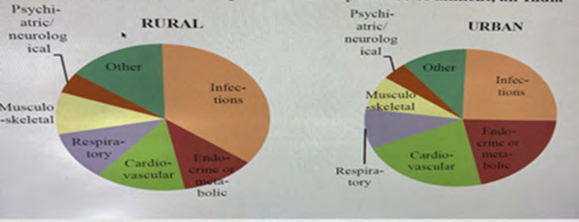 Figure 1: Range of services.