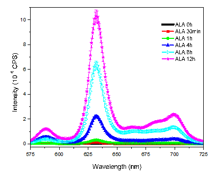 Figure 1: Mean fluorescence spectra of PpIX from DU145 cells exposed to 0.13 mM of ALA, from 0 to 12 hours.