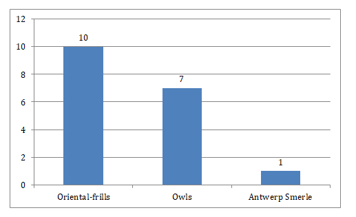 Figure 1: Available Breast-frilled Pigeons of Bangladesh.