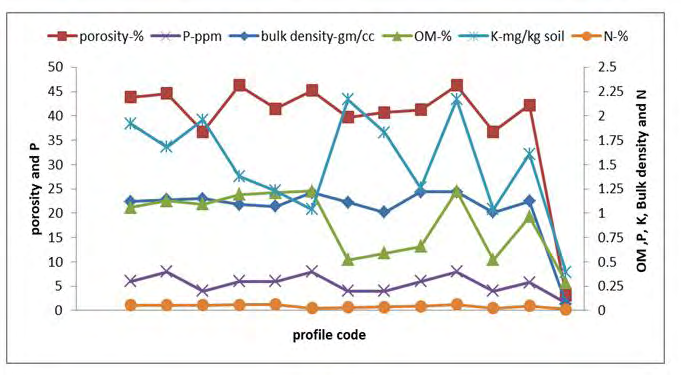 Figure 9: Physical and chemical soil properties.