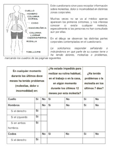 Figure 2: Biomechanical body exposure. Source; Laboratory of Research in Ergonomics and Occupational Hygiene - UTN-2019.