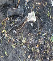 Figure 5: Traces of Burnt Tyre.