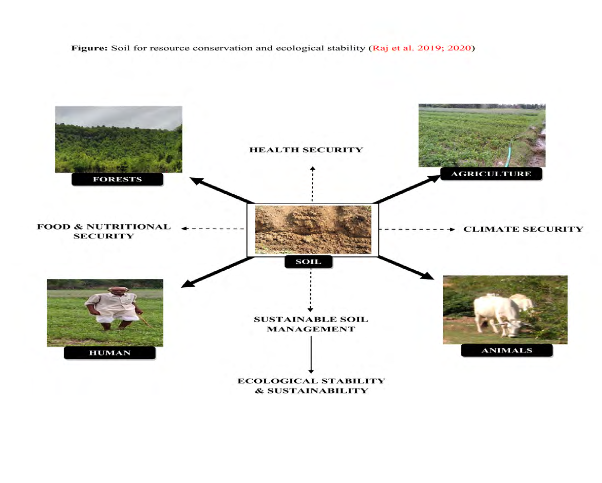 Figure 1: Soil for resource conservation and ecological stability [1,2].
