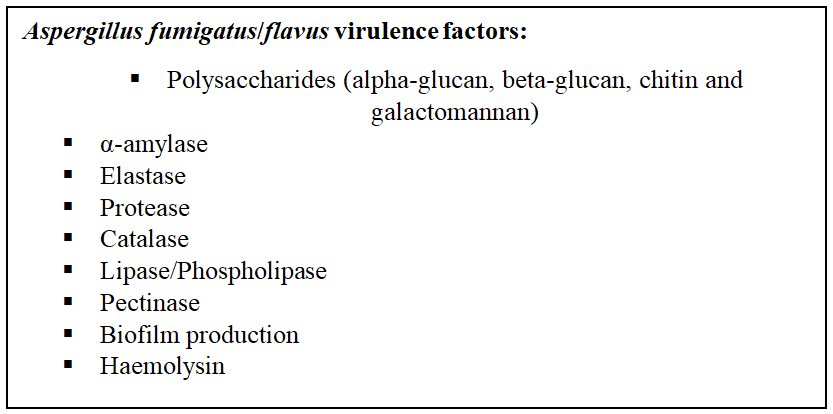 Figure 1: Aspergillosis mechanism of infection.