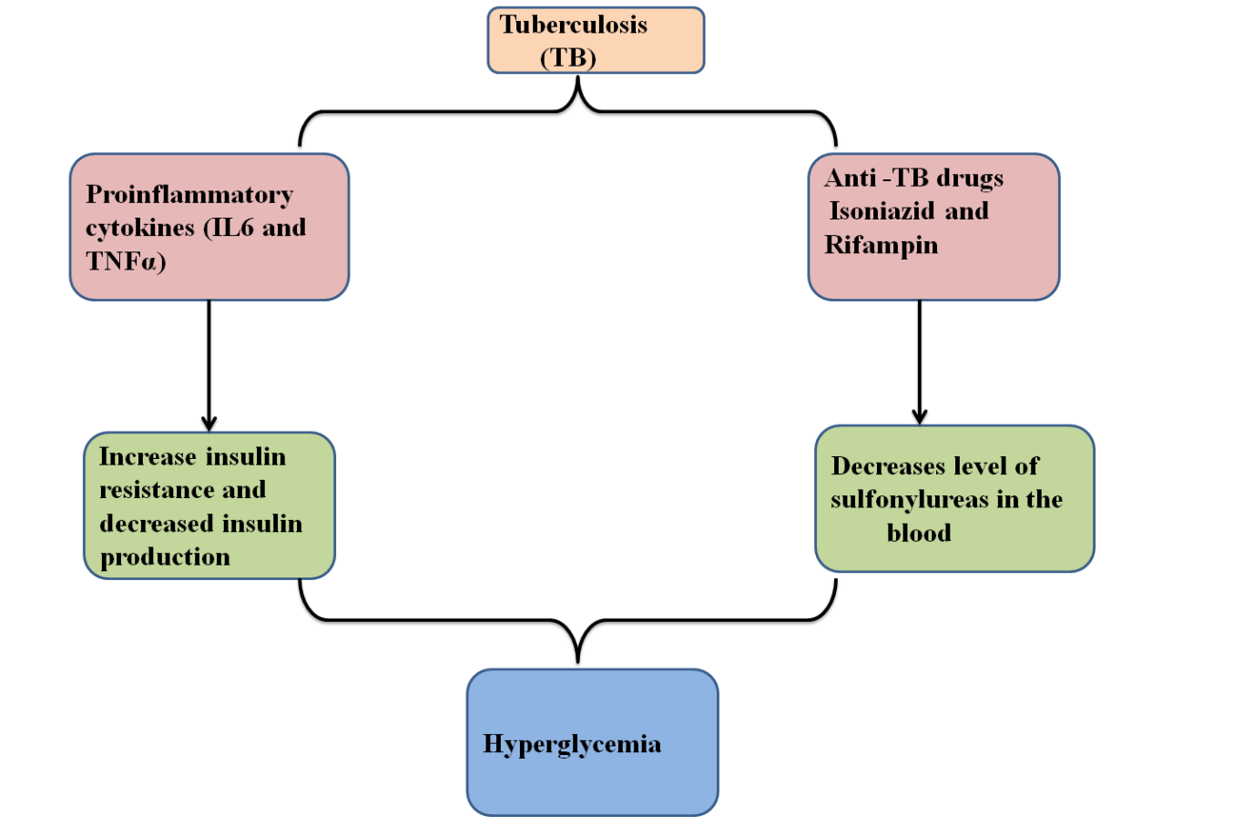 Figure 2: Allegation of TB on DM: MTB infected macrophages start to secrete proinflammatory cytokines to eradicate MTB. Proinflammatory cytokines (TNF-alpha and IL-6) somehow accelerate the insulin resistance and inhibits the insulin production. Anti-TB drugs like Isoniazid and Rifampin decrease the level of sulfonylureas (an antidiabetic drug) in the blood by drug-drug interaction, lead to hyperglycemia.