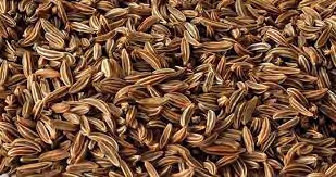 Figure 8: Cumin.