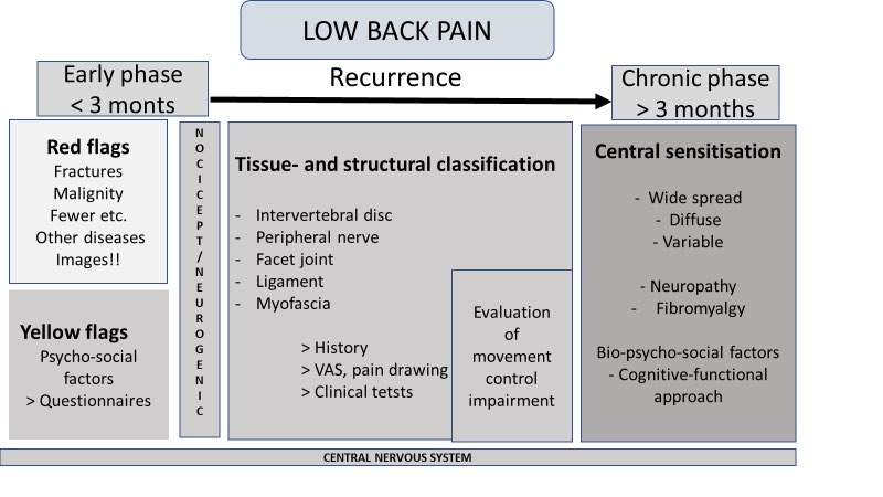 Figure 1: Content of education program regarding classification and assessment tools for LBP.