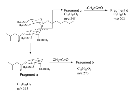 Figure 2: Mass fragmentation of Compound 2.