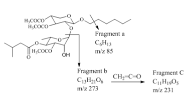 Figure 3: Mass fragmentation of Compound 3.