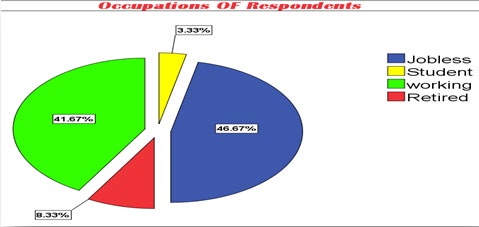 Figure 3: Occupations of The participants of Hemodialysis Patients in National Ribat University Hospital and Ibn Sina Specialized Hospital In July, 2017.