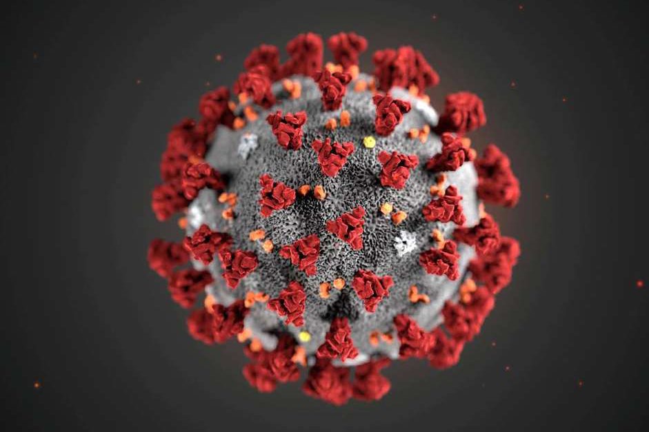 Figure 1: The deadly Corona virus. Image Credit: Reuters